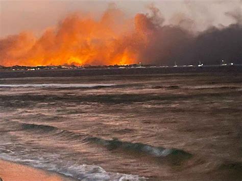 蛇山火事|カナダ、ハワイ・マウイ島、ギリシャー森林火災はな。